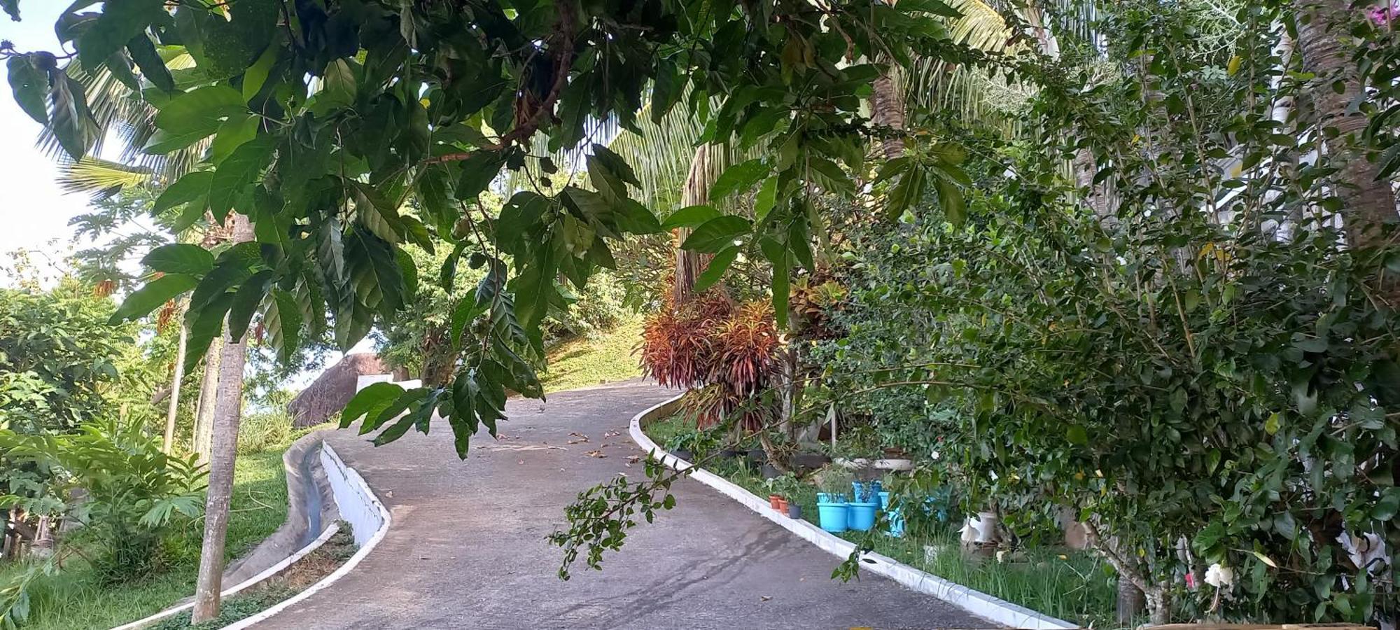 Petit Amour Villa, Seychelles Victoria Ngoại thất bức ảnh